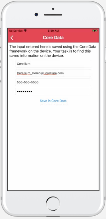 Alt text: iPhone screen showing core data iOS local storage