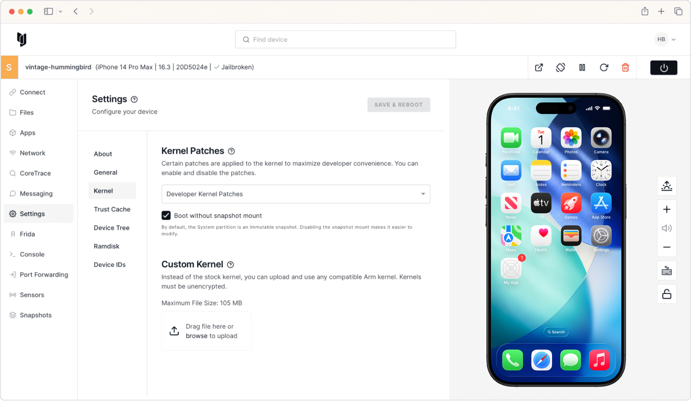 Dashboard showing the Settings: Kernel screen