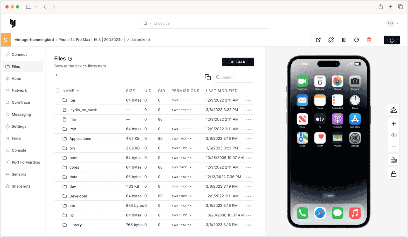 Dynamic app security testing (DSAT); iOS pentest