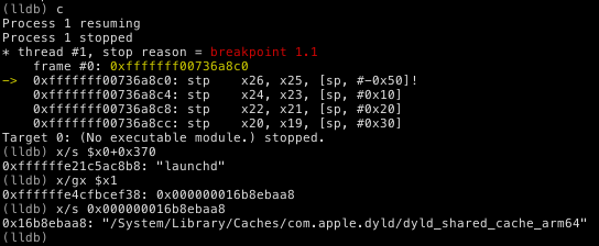 From Entry Point to First `open(2)` Call